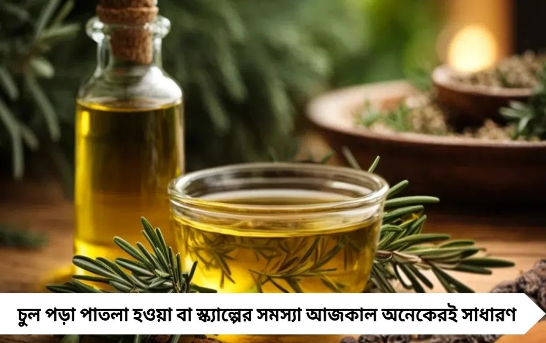 রোজমেরি তেল: চুল পড়া ও ক্ষতির বিরুদ্ধে প্রাকৃতিক ম্যাজিক, জানুন সঠিক ব্যবহার