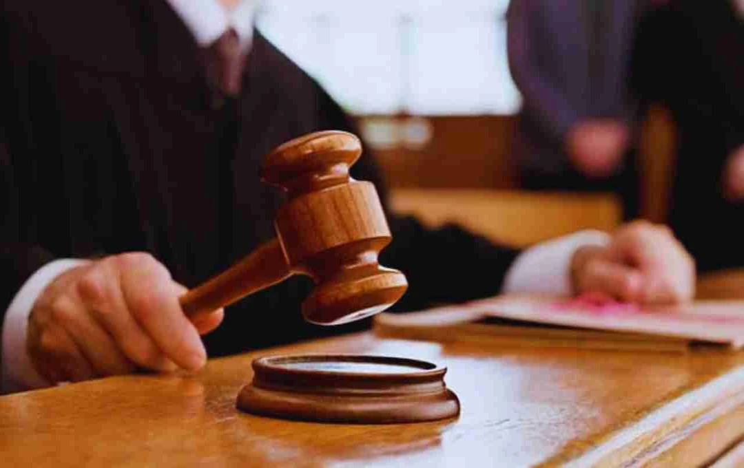 दिल्ली: POCSO मामले में 500 पन्नों की जमानत याचिका खारिज, कोर्ट ने कहा – 'न्यायिक समय की बर्बादी'