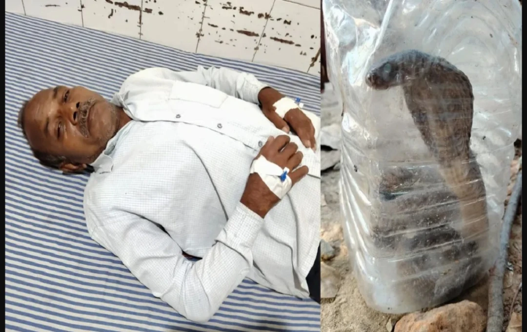 देवरिया में सांप के काटने पर सपेरे ने मेडिकल कॉलेज में सांप लेकर किया इलाज