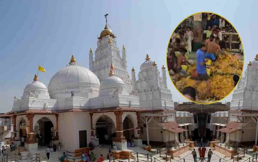 Dakor Temple's Unique Post-Diwali Tradition: The Annakoot Prasad 'Loot' in Gujarat