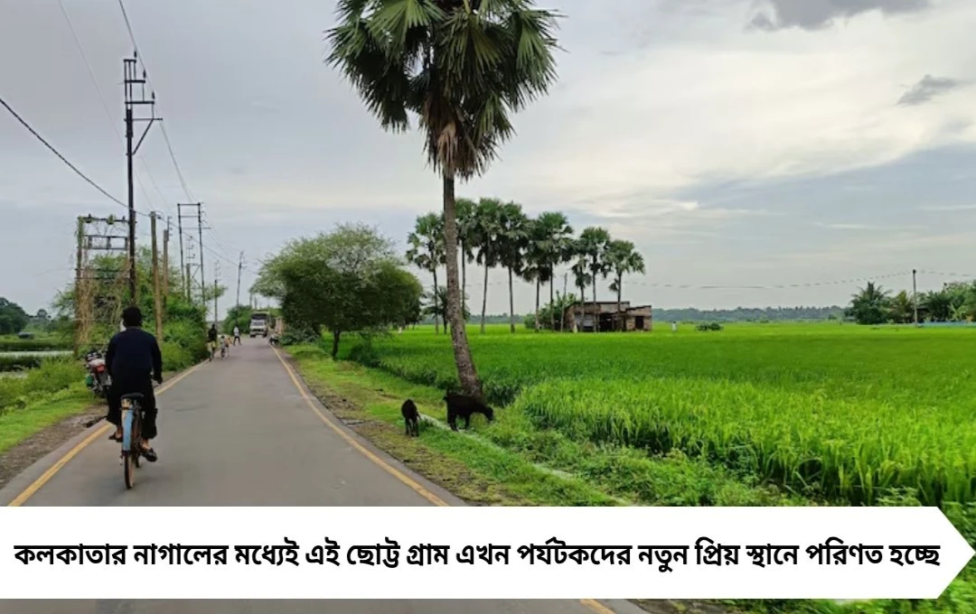 Weekend Trip: কলকাতার একেবারে কাছেই গ্রামীণ শান্তির স্বর্গভূমি