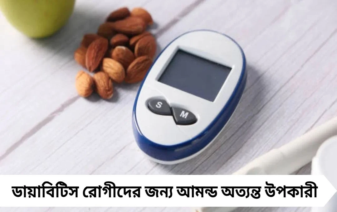 ডায়াবিটিসে আমন্ড খেলে কি সুগার নিয়ন্ত্রণে থাকবে?