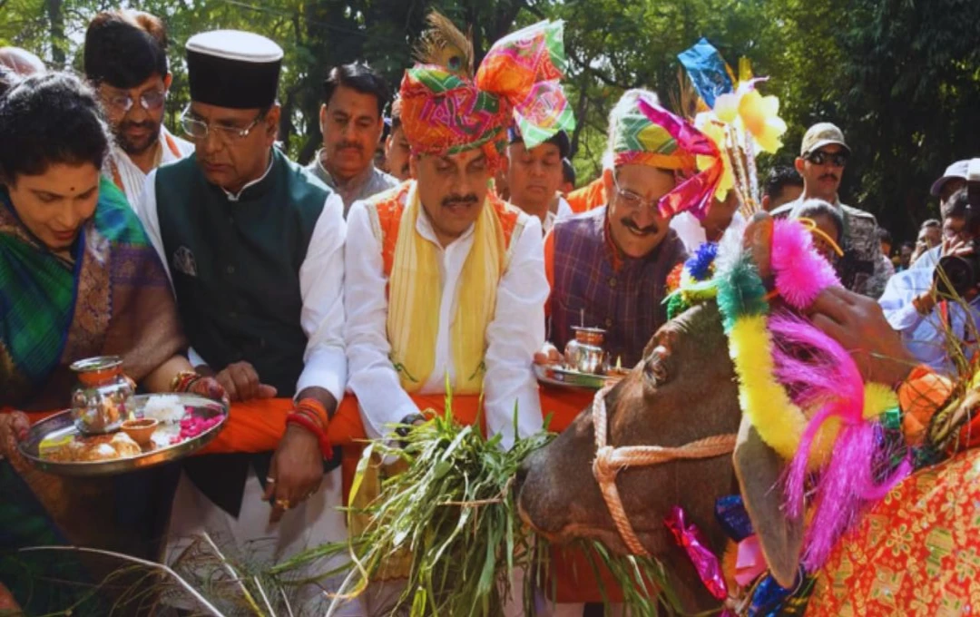 MP: गौ-शालाओं के विकास के लिए विशेष योजना, CM मोहन यादव ने गोवर्धन पूजा पर किया ऐलान