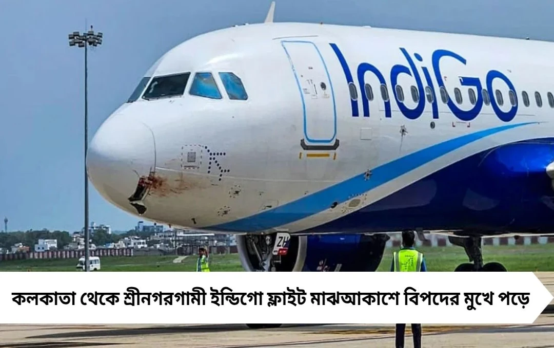 কলকাতা থেকে উড়ে মাঝআকাশে বিপত্তি! ইন্ডিগো বিমানে ফুয়েল লিক, বারাণসীতে জরুরি অবতরণে বাঁচল ১৬৬ প্রাণ