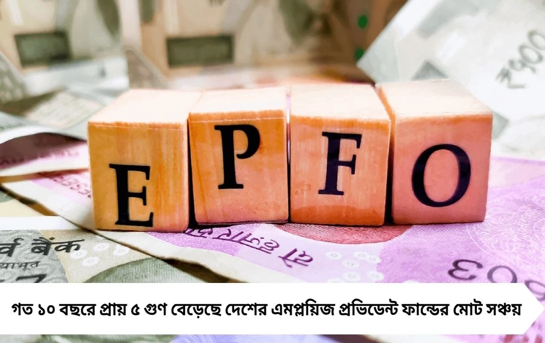EPFO: প্রভিডেন্ট ফান্ডের টাকা উঠছে, ভবিষ্যৎ নিরাপত্তা ঝুঁকিতে
