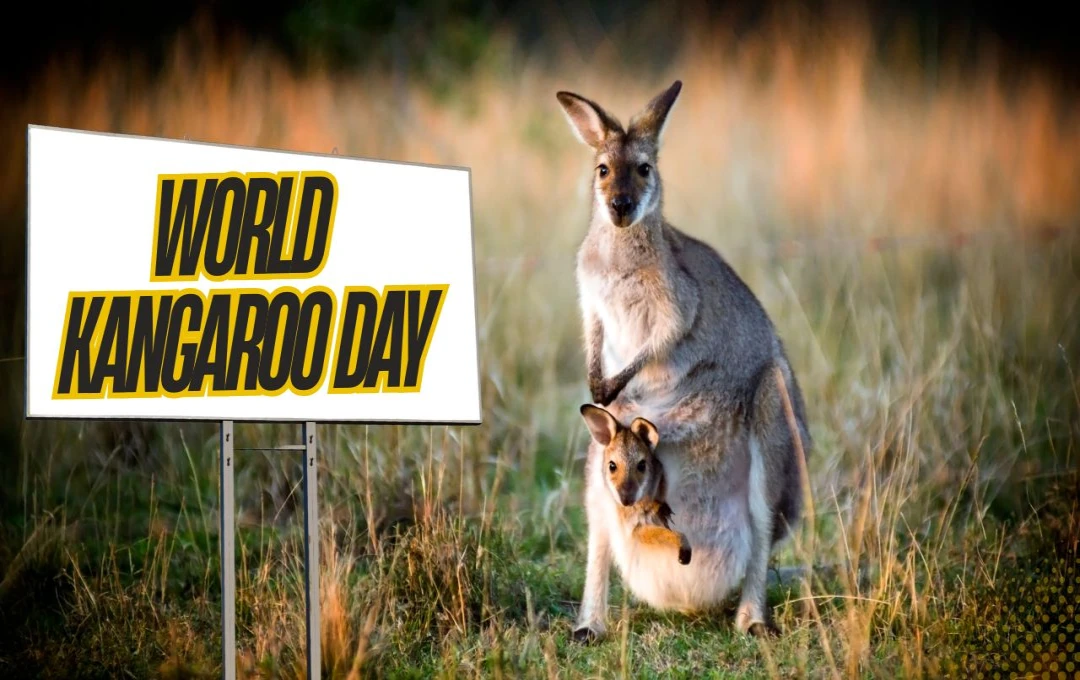 World Kangaroo Day: कंगारू के संरक्षण के प्रति जागरूकता का उत्सव