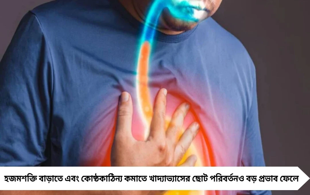 কোষ্ঠকাঠিন্য এড়াতে ঘরোয়া ৪ সহজ খাবারের বদল, বিশেষজ্ঞের পরামর্শ