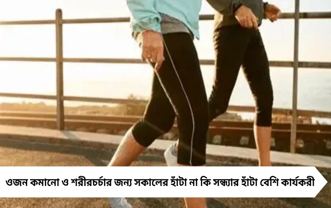 মর্নিং ওয়াক বনাম ইভনিং ওয়াক: দ্রুত মেদ ঝরাতে কোনটি ভালো?