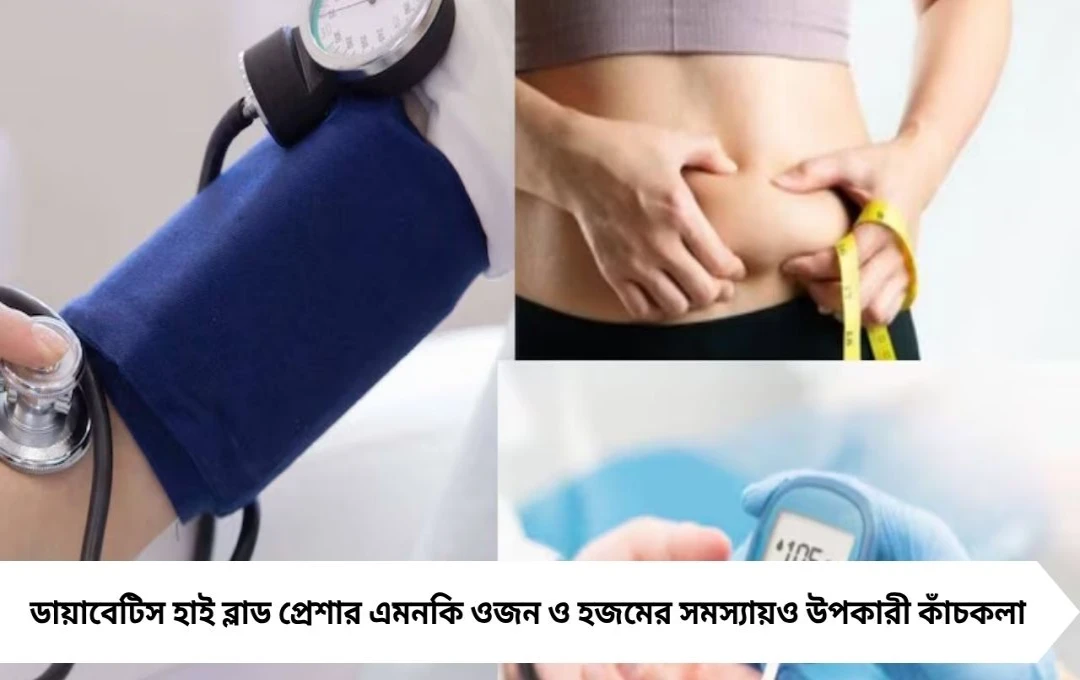 রক্তচাপ ও ডায়াবেটিসে কাঁচকলার জাদু! প্রতিদিন খেলেই মিলবে নিয়ন্ত্রণ