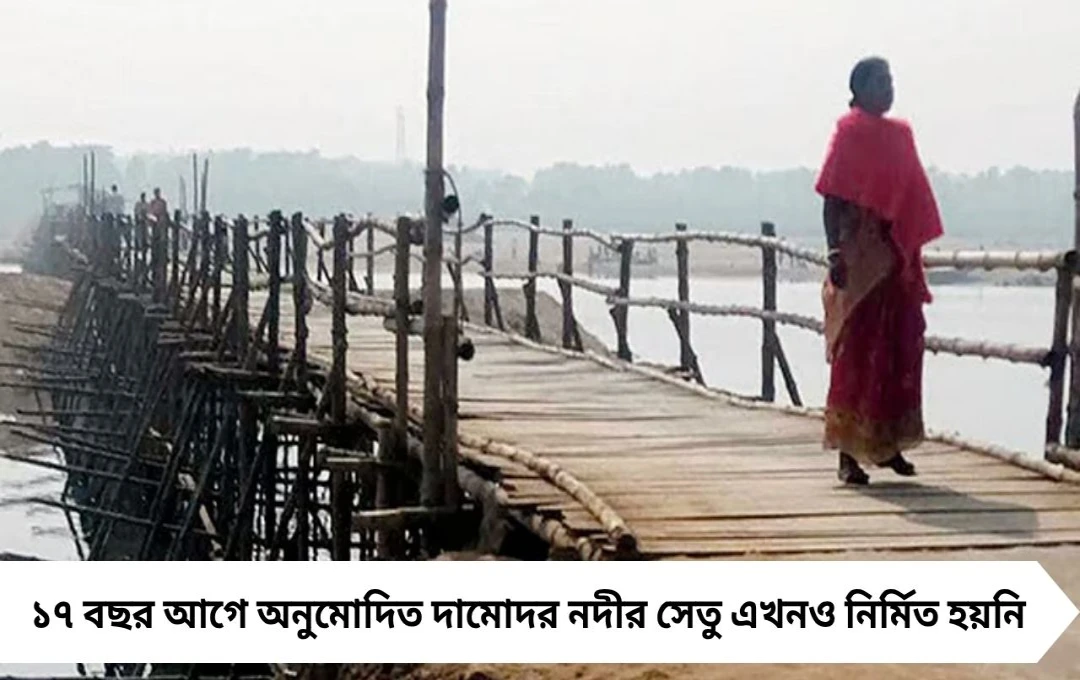দামোদরে সেতুর অপেক্ষা ১৭ বছরেও শেষ হয়নি, অস্থায়ী বাঁশের সেতু ভেঙে জনদুর্ভোগ