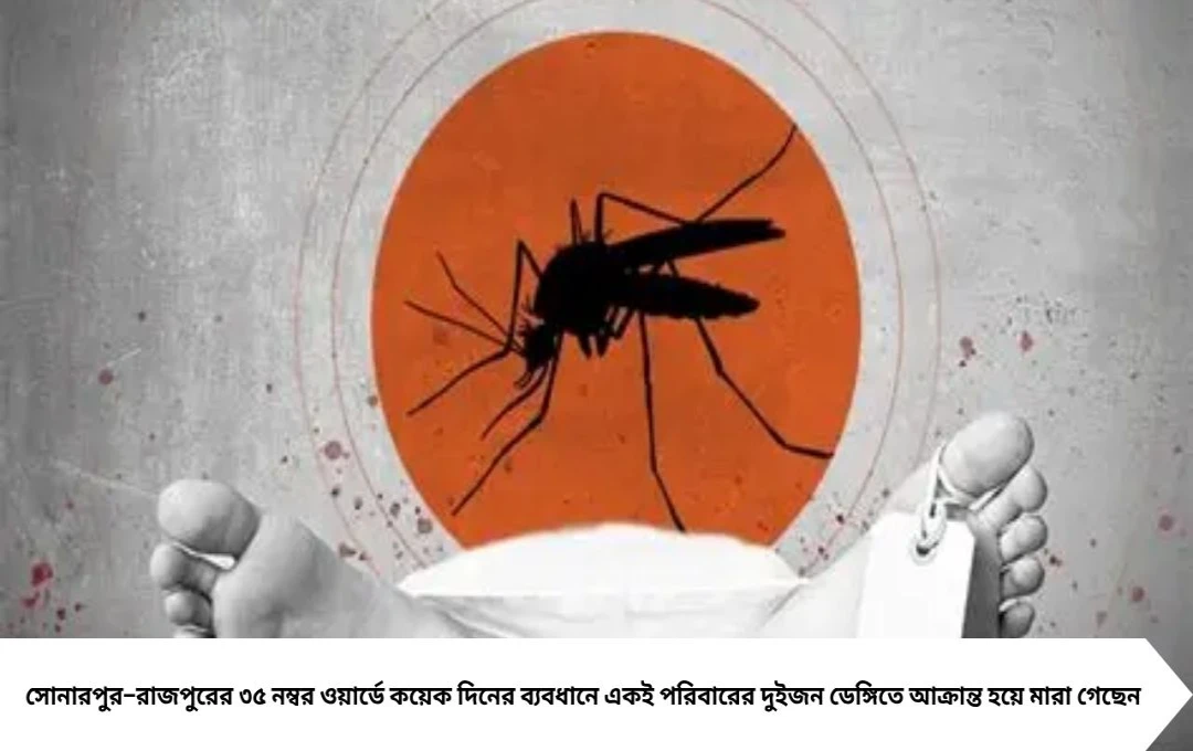 কলকাতার সোনারপুর–রাজপুরে ডেঙ্গি আতঙ্ক, দুইজনের মৃত্যু
