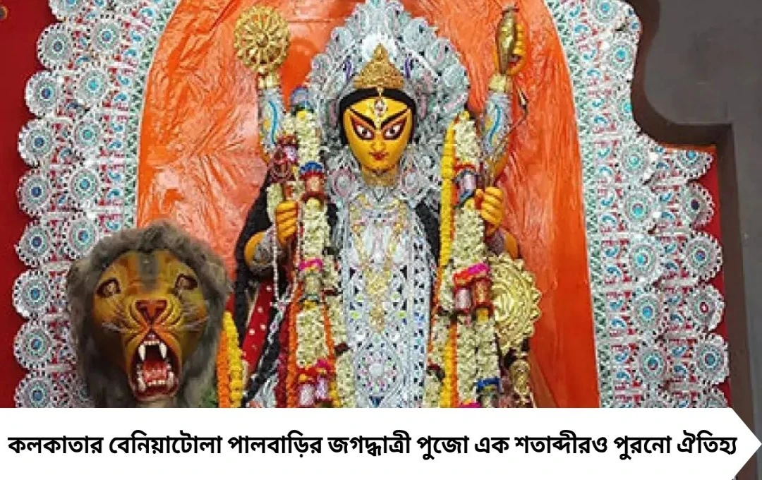 সিংহের উপর দেবী, পাশে চার সখী! শতাব্দীপ্রাচীন বেনিয়াটোলা পালবাড়ির জগদ্ধাত্রী পুজো