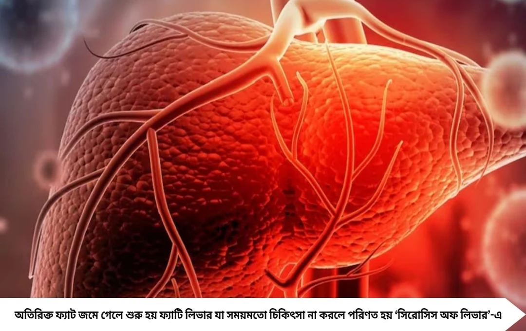 ওজন কম, কিন্তু পেট ফুলে যাচ্ছে? সাবধান! লিভার সিরোসিসের আগেই শরীর দেয় ৪টি বিপদের সংকেত