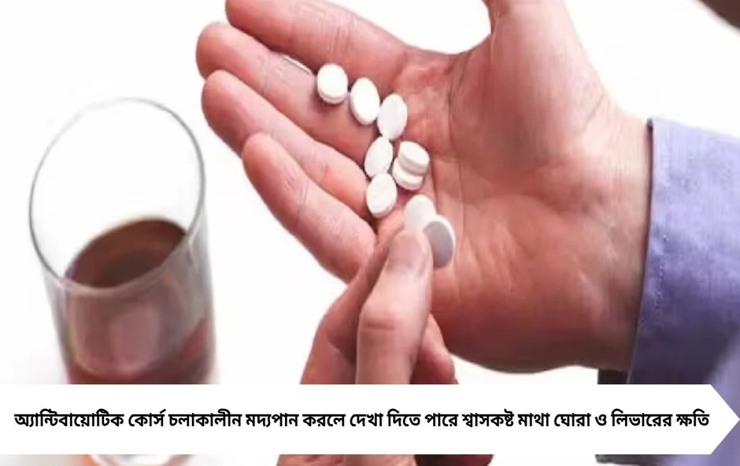 অ্যান্টিবায়োটিকের কোর্সে পার্টিতে মদ্যপান? বিপজ্জনক ভুল করছেন না তো? জানুন চিকিৎসকের পরামর্শ