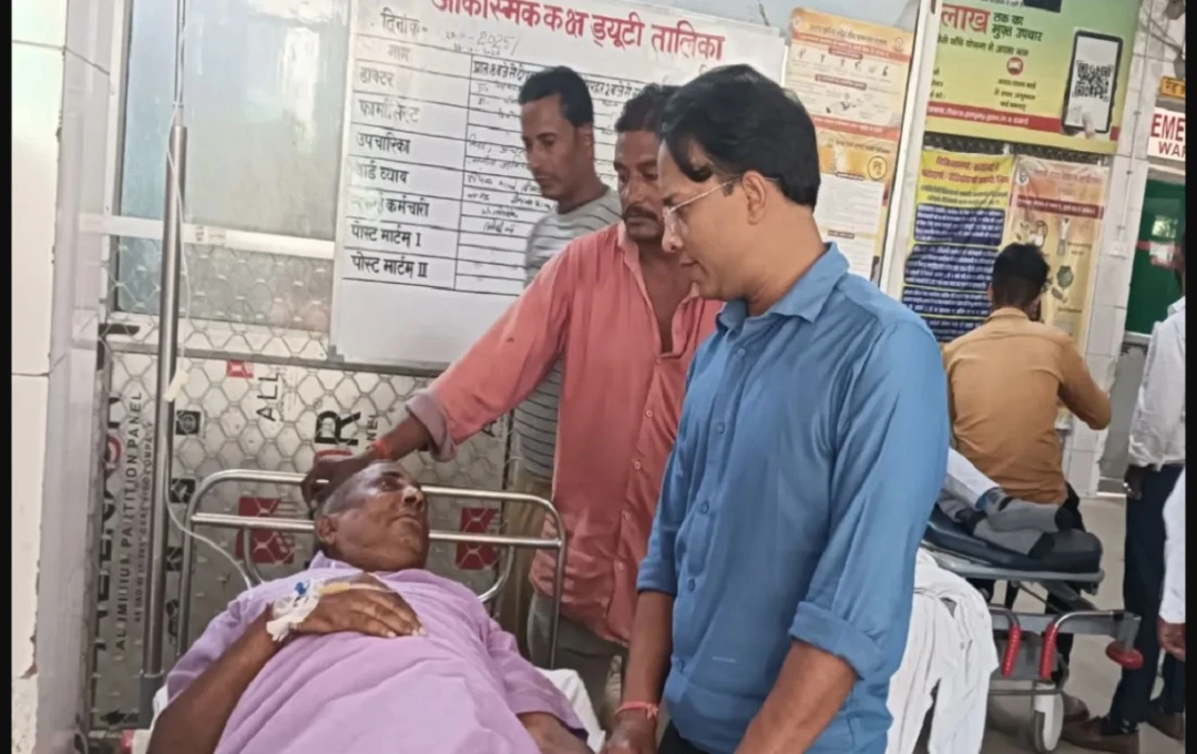 Sultanpur Battles Dengue Surge: 116 Cases Confirmed, Health Department Ramps Up Efforts