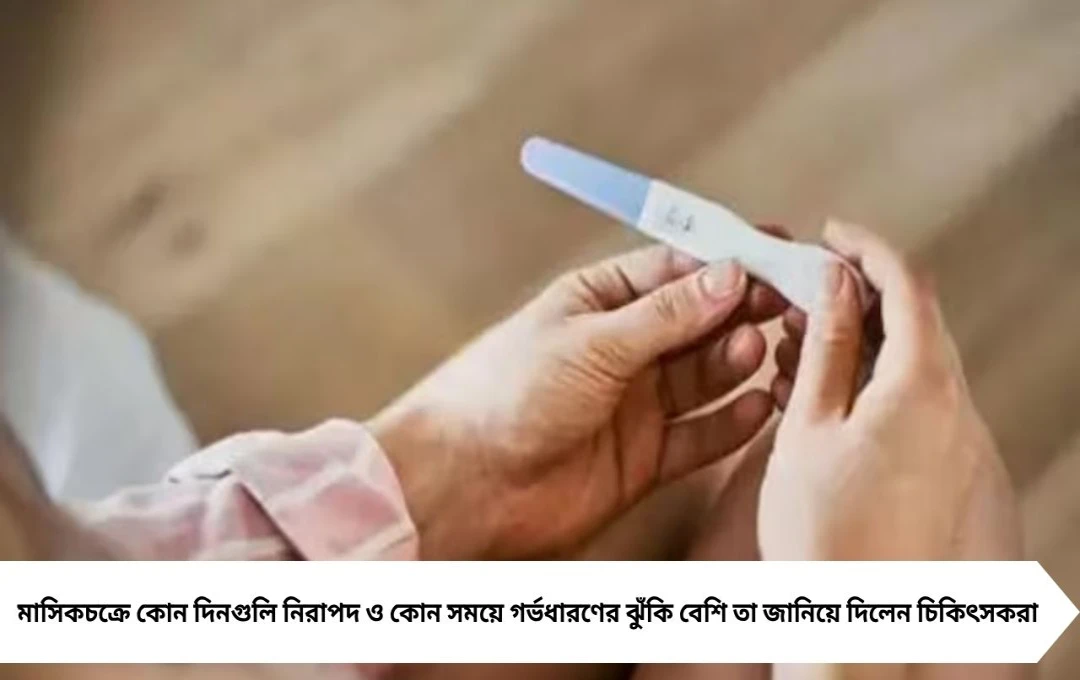 Period Safe Days: পিরিয়ডের কত দিন পর প্রেগন্যান্সির ঝুঁকি কম থাকে? চিকিৎসকদের সহজ ব্যাখ্যা