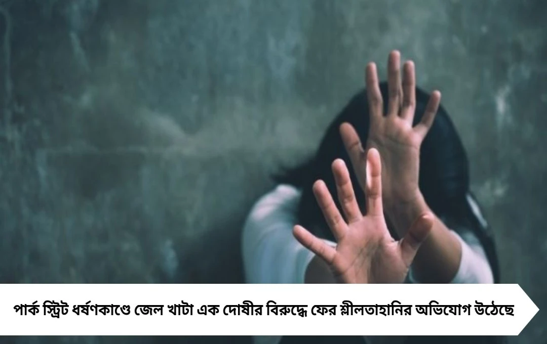 Park Street Case: ফের বিতর্কে পুরনো দোষী, বিধাননগরের হোটেলে মহিলার শ্লীলতাহানির অভিযোগ
