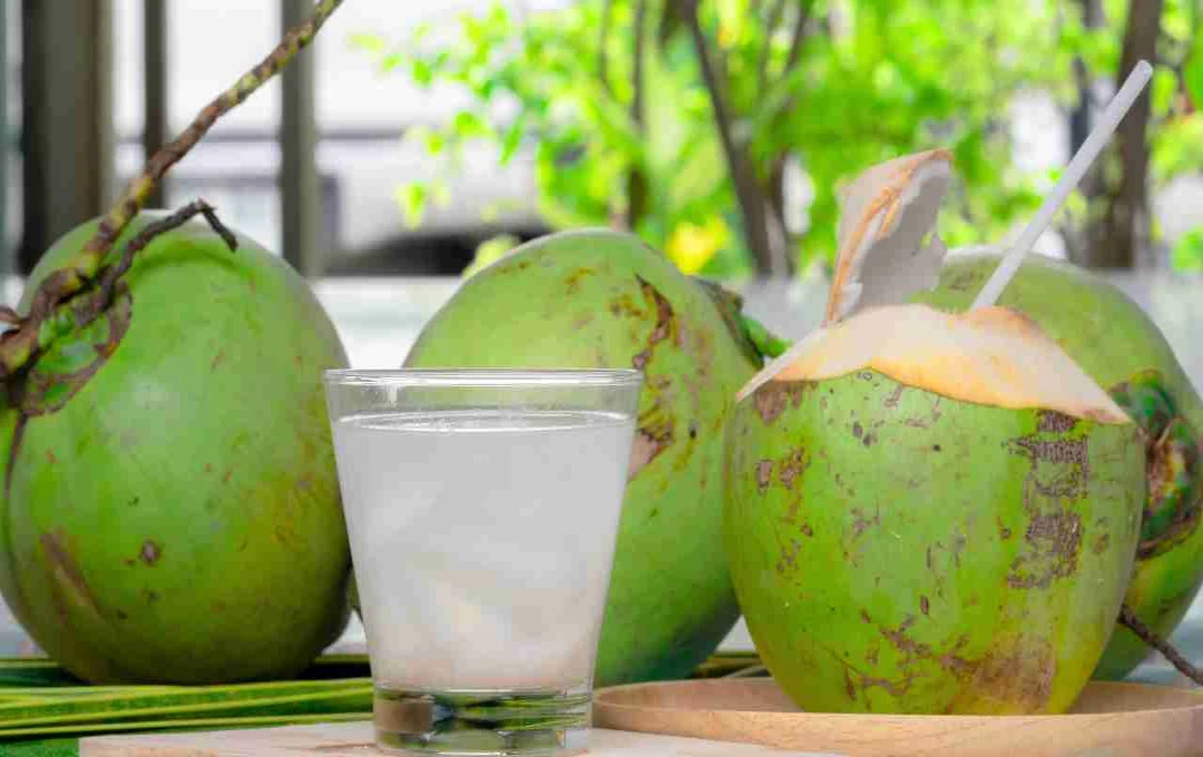 Nariyal Pani Peene Ka Sahi Tarika: रोज पिएं या हफ्ते में चार बार, जानें सेहत के लिए क्या है सही मात्रा और समय