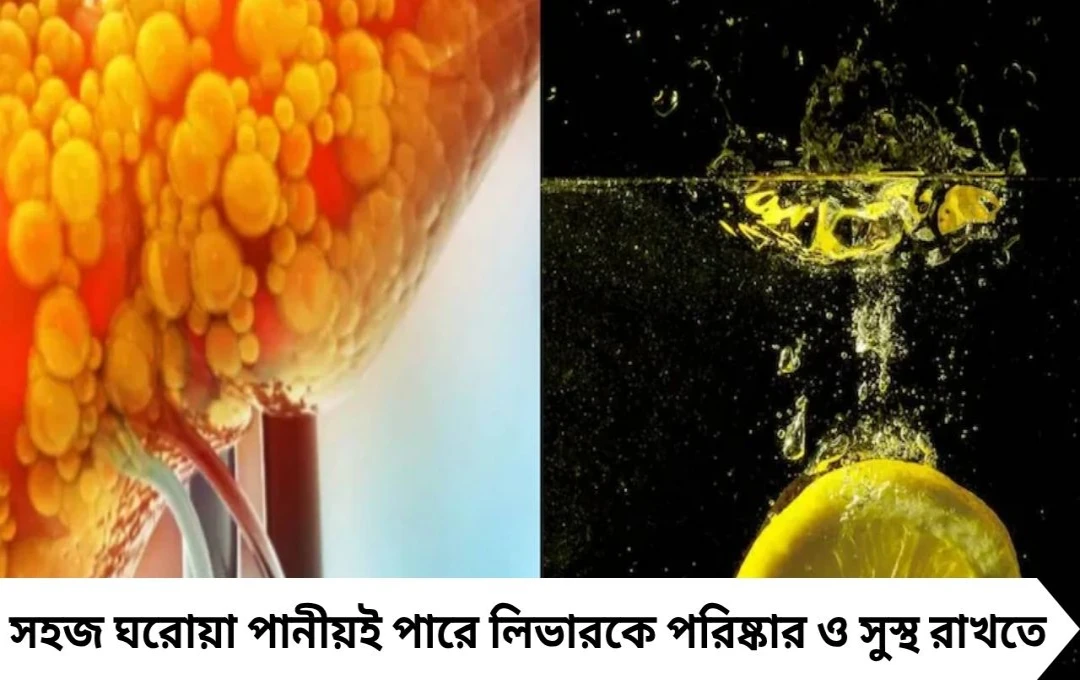 Fatty Liver Home Remedies: এক চিমটে লেবুর রস আর মধু, এভাবেই গলগলিয়ে সাফ হবে লিভারের মেদ!