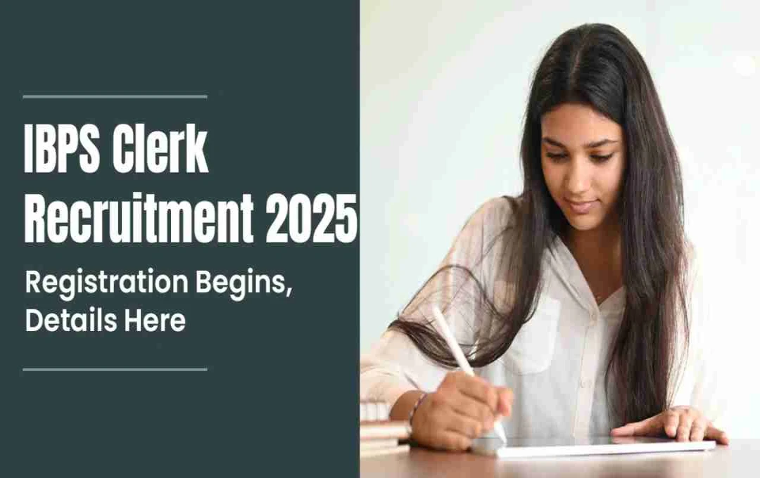 IBPS Clerk Vacancy 2025: पदों में बढ़ोतरी, अब 13533 पोस्ट पर होगी नियुक्ति, चेक करें डिटेल्स