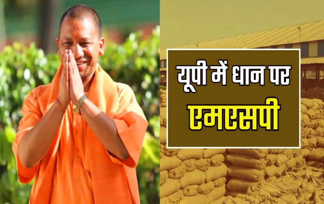 अम्बेडकरनगर में धान क्रय केंद्रों पर नोडल अधिकारी तैनात, कालाबाजारी पर लगाम लगाने की तैयारी