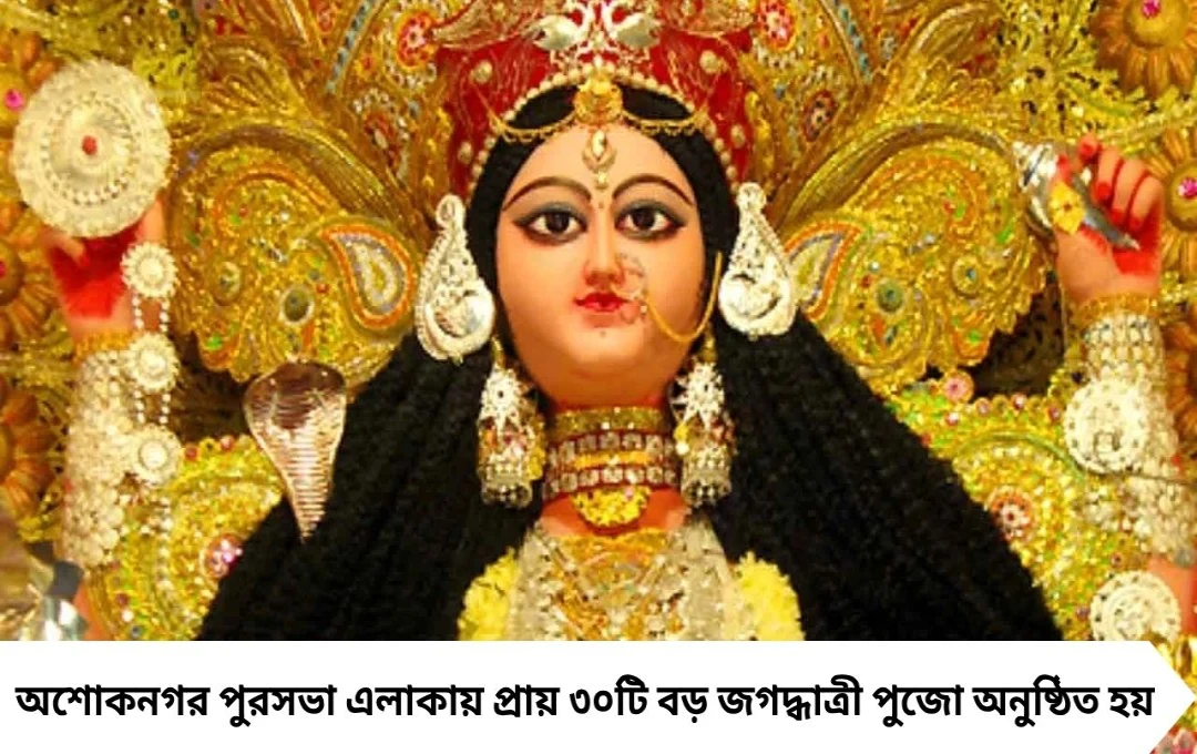 অশোকনগরে জমজমাট জগদ্ধাত্রী পুজো, মণ্ডপে সিসি ক্যামেরা, দু’দিন গাড়ির নো এন্ট্রি