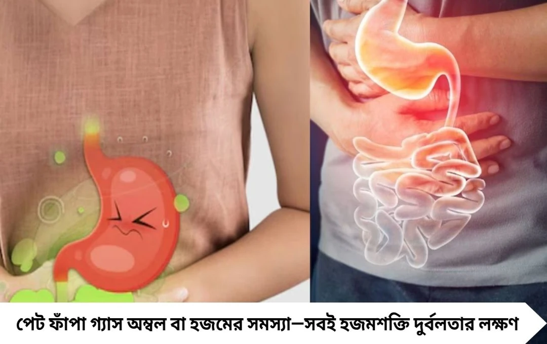 গ্যাস, অম্বল, পেটফাঁপা? গরম জলে মিশিয়ে খান এই ঘরোয়া উপায়, মিলবে তাত্ক্ষণিক আরাম
