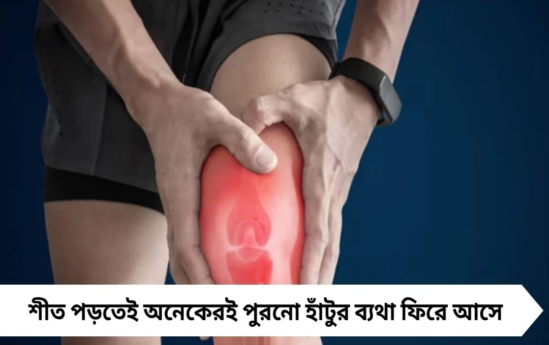 শীত পড়তেই হাঁটুর ফোলা-ব্যথা? এই ৩ খাবারেই দূর হবে আর্থ্রাইটিস!
