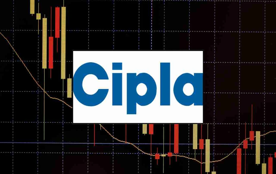 Cipla Q2 Results: मुनाफा बढ़ा लेकिन शेयर टूटा, जानिए कंपनी के नतीजों का पूरा हाल