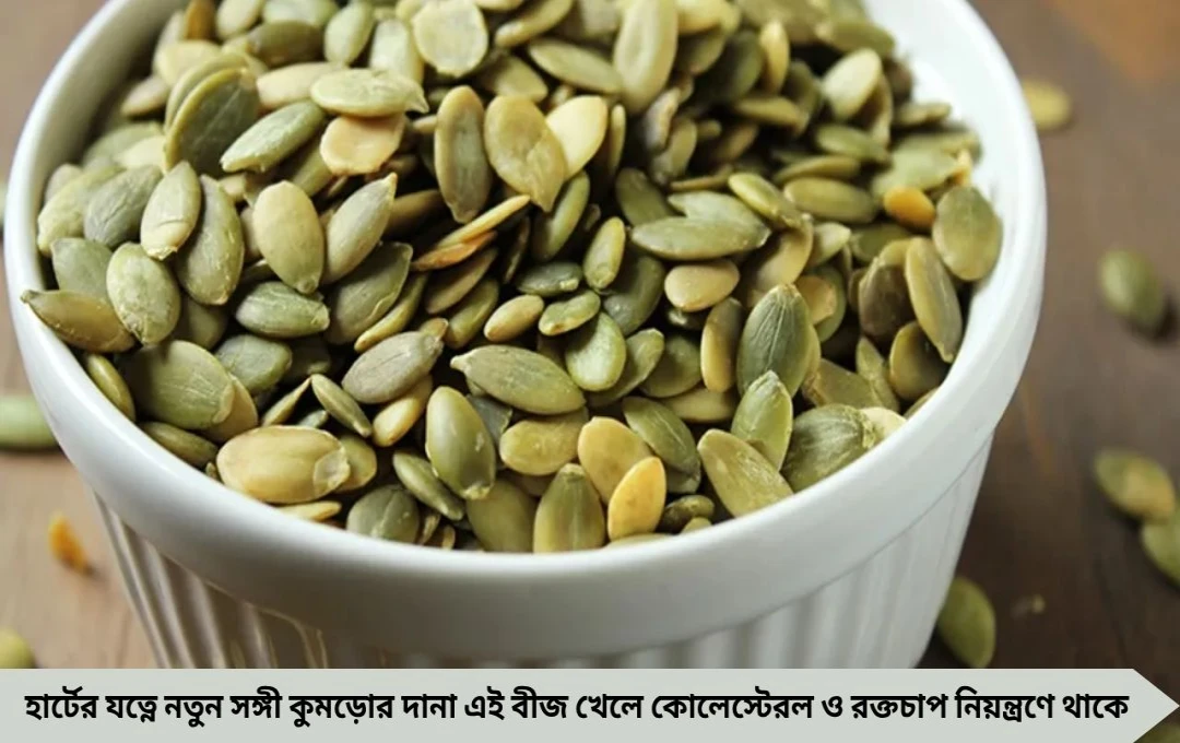 হার্টের যত্নে কুমড়োর দানা, কোলেস্টেরল ও রক্তচাপ নিয়ন্ত্রণে অনন্য উপকার
