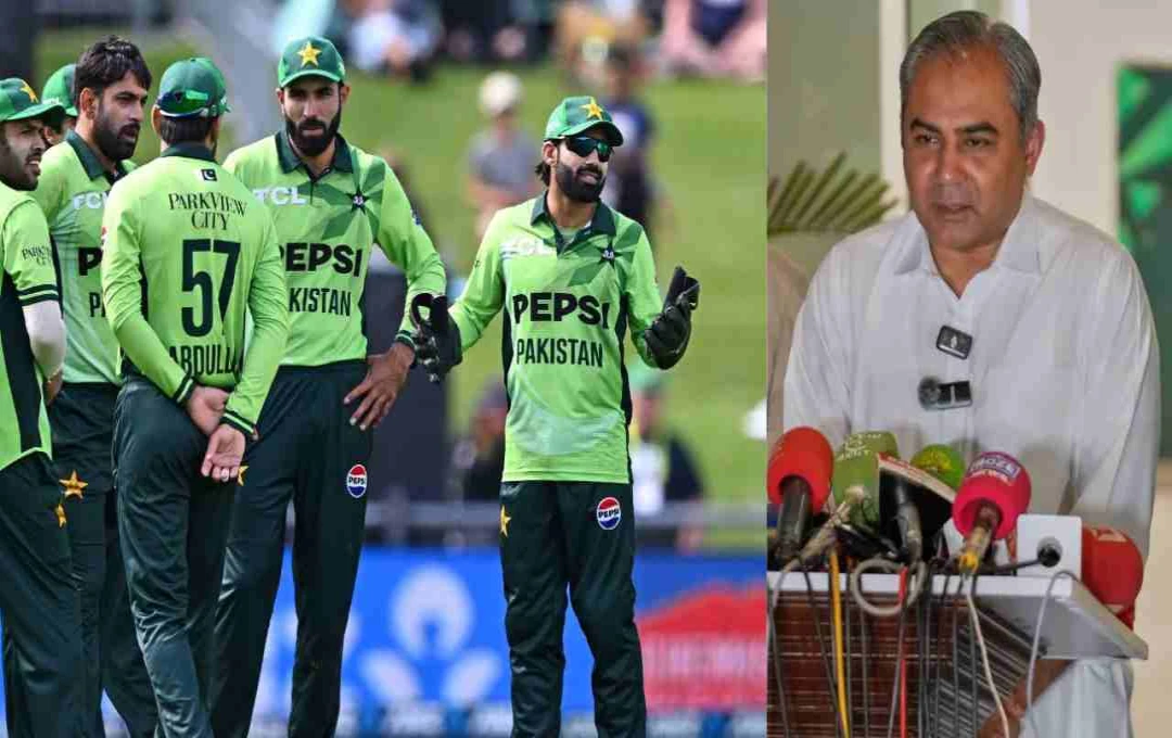 पाकिस्तान क्रिकेट बोर्ड ने किया बड़ा ऐलान: 157 खिलाड़ियों को मिला नया कॉन्ट्रैक्ट - जानिए पूरी डिटेल