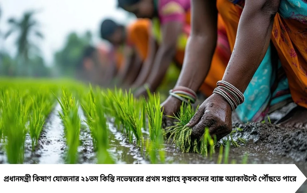PM Kisan: ই-কেওয়াইসি না করলে বন্ধ হবে ২১তম কিস্তি, দ্রুত করুন এই কাজ