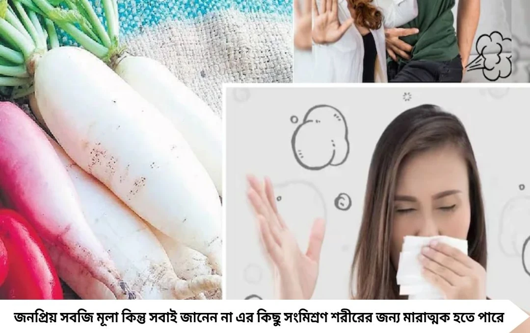 Radish & Bloating: মূলোর সঙ্গে এই ৫ খাবার খেলেই গ্যাস-ঢেকুরের যন্ত্রণা বাড়বে!