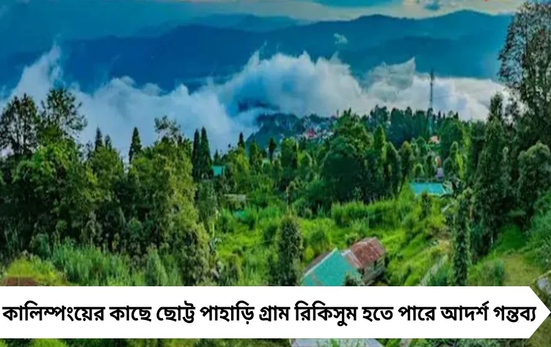 উত্তরবঙ্গের অফবিট স্বর্গ রিকিসুম: শীতে শান্তির খোঁজে ছুটুন পাহাড়ে