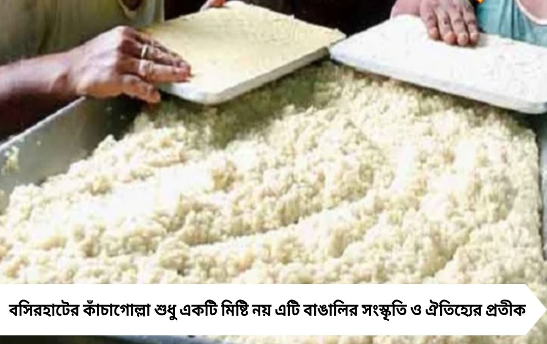 বসিরহাটের কাঁচাগোল্লা: যে মিষ্টির প্রেমে পড়েছিলেন মহানায়ক উত্তমকুমার
