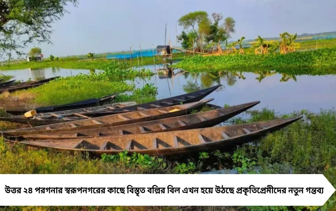 উইকএন্ড ট্রিপ: কলকাতার কাছেই ‘মিনি ডাল লেক’, মোহময়ী বল্লির বিলের টানে ভিড়ছে পর্যটকরা