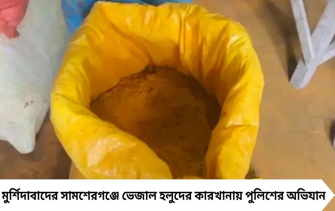 হলুদে ভেজাল কাণ্ড: সামশেরগঞ্জে পুলিশের হানা, দুই কর্মী আটক