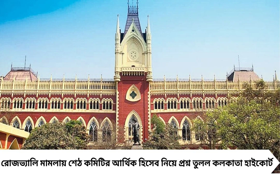 ফরেন্সিক অডিটে ক্যাগকে চাইছে হাইকোর্ট, রোজভ্যালি মামলায় শেঠ কমিটির হিসেব নিয়ে প্রশ্ন