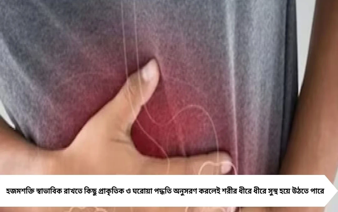 উৎসবের মরশুমে বেশি খেয়েছেন? অন্ত্রের স্বাস্থ্য ফিরিয়ে আনুন এই ৭ প্রাকৃতিক উপায়ে