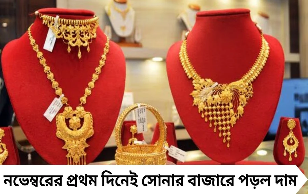 সকাল সকাল সুখবর! নভেম্বরের শুরুতেই সোনার দামে পতন, বিনিয়োগকারীদের জন্য সোনার সুযোগ