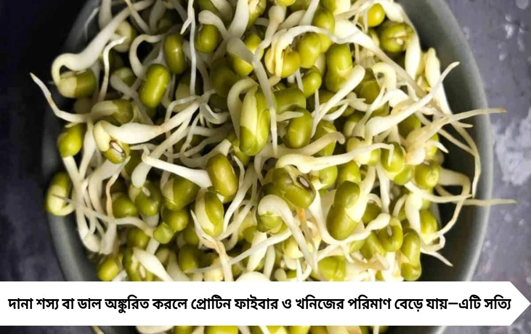 স্প্রাউটসের দৈর্ঘ্য নয়, টাটকা থাকাটাই আসল—বিশেষজ্ঞদের পরামর্শে জানুন সত্যিটা