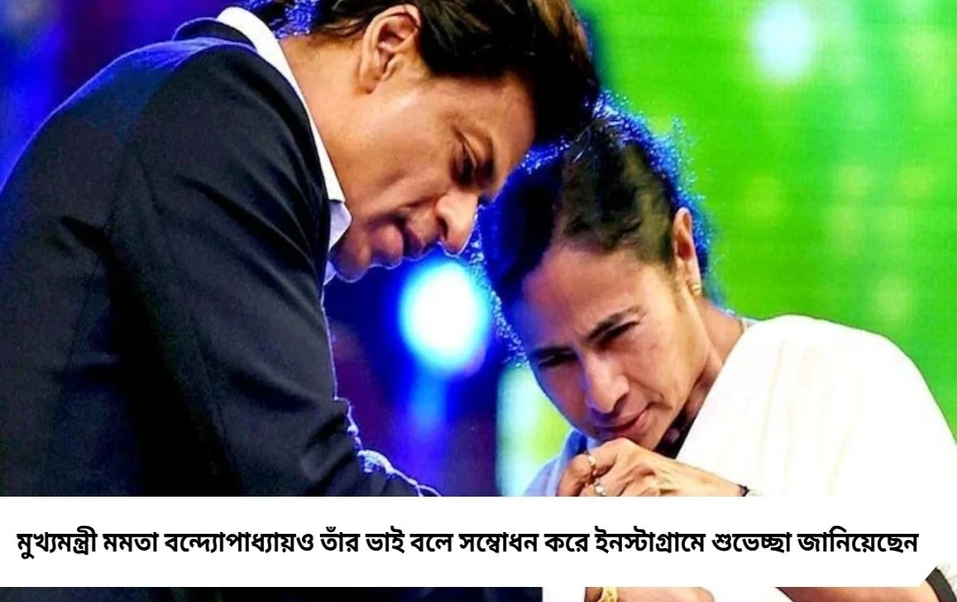 আমার ভাই শাহরুখ খান”: কিং খানের জন্মদিনে মমতা বন্দ্যোপাধ্যায়ের ভালোবাসার বার্তা