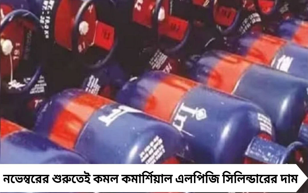 সস্তা হলো বাণিজ্যিক রান্নার গ্যাস, নভেম্বরের দরে স্বস্তি কলকাতায়