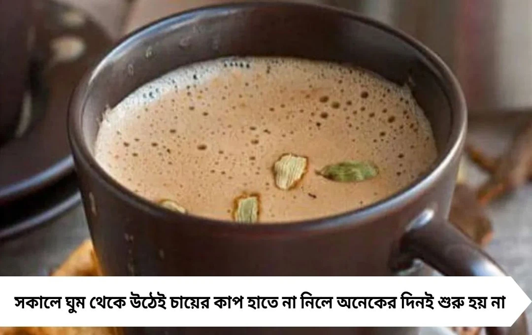 সকালে ঘুম থেকে উঠেই চা খান? খালি পেটে এই অভ্যাসে শরীরে হতে পারে মারাত্মক ক্ষতি