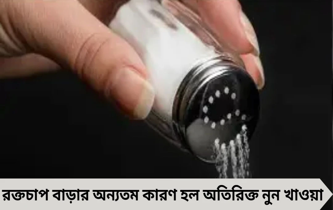 উচ্চ রক্তচাপে নুন নয়, এই বিকল্পেই নিয়ন্ত্রণে থাকবে ব্লাড প্রেশার, জানাচ্ছেন বিশেষজ্ঞরা