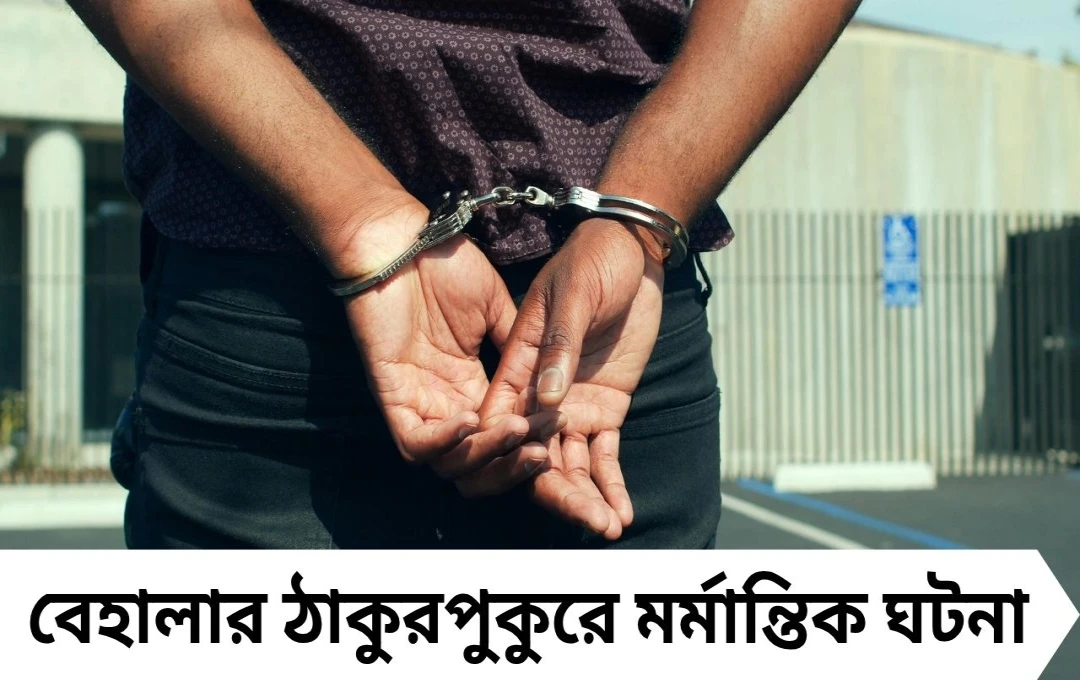 ‘শেষ করে দিয়েছি!’— স্ত্রীকে পাথর দিয়ে থেঁতলে থানায় আত্মসমর্পণ স্বামীর, চাঞ্চল্য বেহালায়