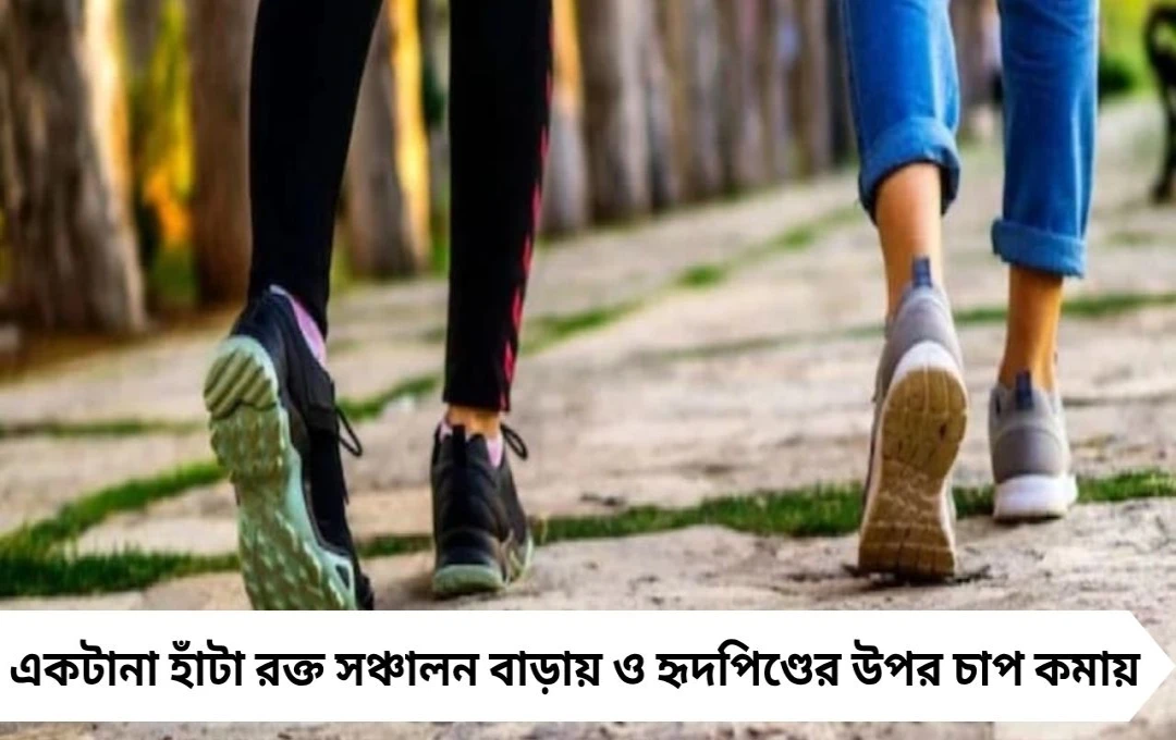 প্রতিদিন ১৫ মিনিট একটানা হাঁটুন: কমবে হার্ট অ্যাটাক ও স্ট্রোকের ঝুঁকি