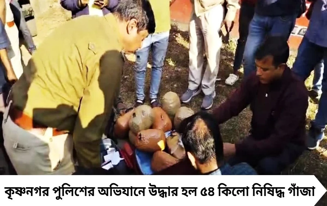 নবদ্বীপে ৫৪ কিলো নিষিদ্ধ গাঁজা বাজেয়াপ্ত, গ্রেপ্তার ৪