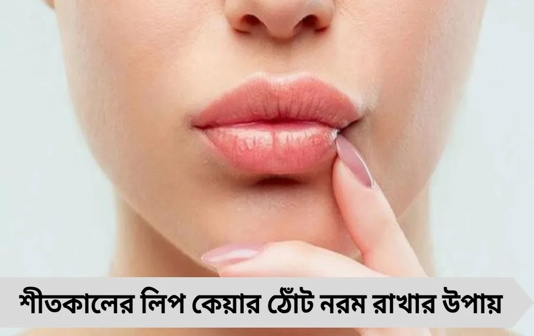 শীত এলেও ঠোঁট ফাটবে না, আজ থেকেই শুরু করুন এই ৪টি সহজ অভ্যাস