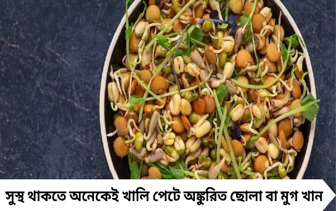 রোজ অঙ্কুরিত ছোলা-মুগ খাওয়া শরীরের পক্ষে উপকারী, কিন্তু কিডনি রোগীদের জন্য বিপজ্জনক! জানুন চিকিৎসকের মত